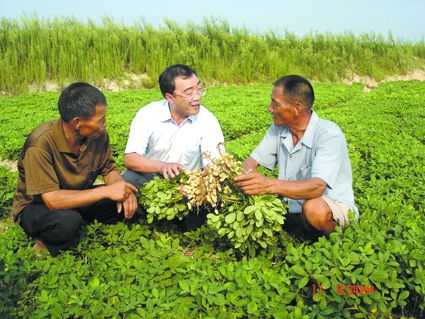 中原無(wú)處不飛花——記中國(guó)工程院院士、省農(nóng)科院院長(zhǎng)張新友的中草藥科技咨詢之路
